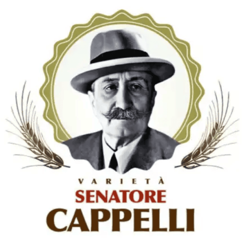 Senatore Cappelli Urgetreide