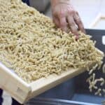 Frische hausgemachte Pasta bei Il Golosone in Deutschland.