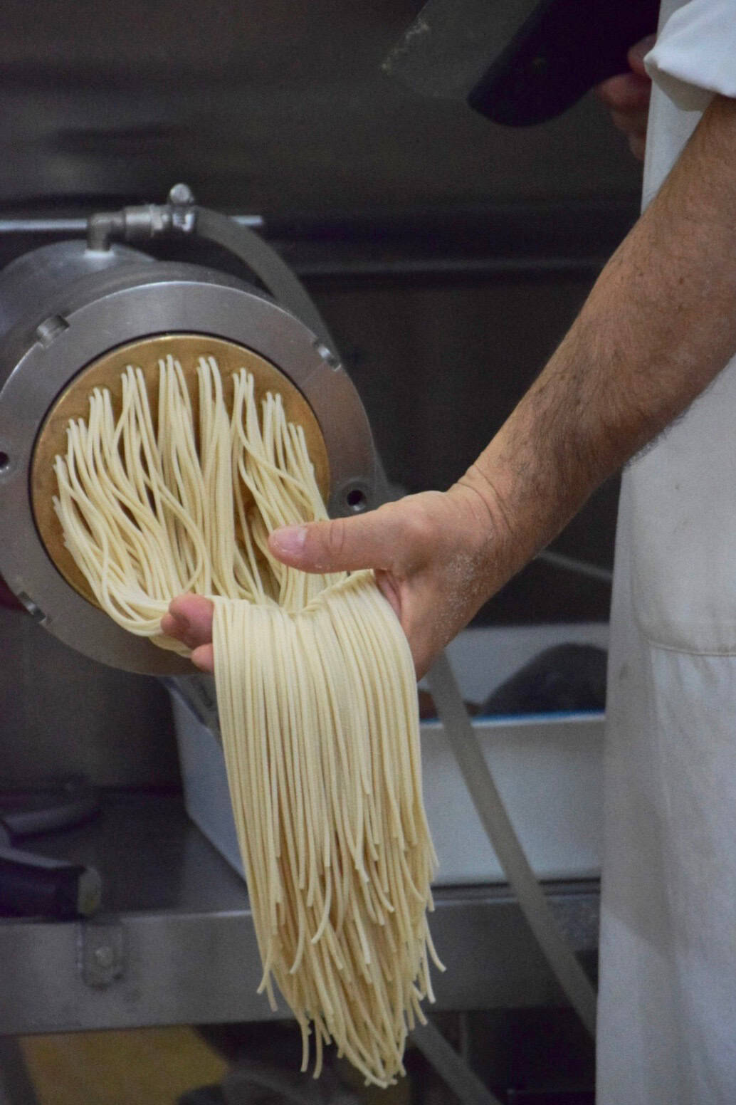 Frische Pasta wird aus einer pastamaschine gezogen, italienische Kochkunst.