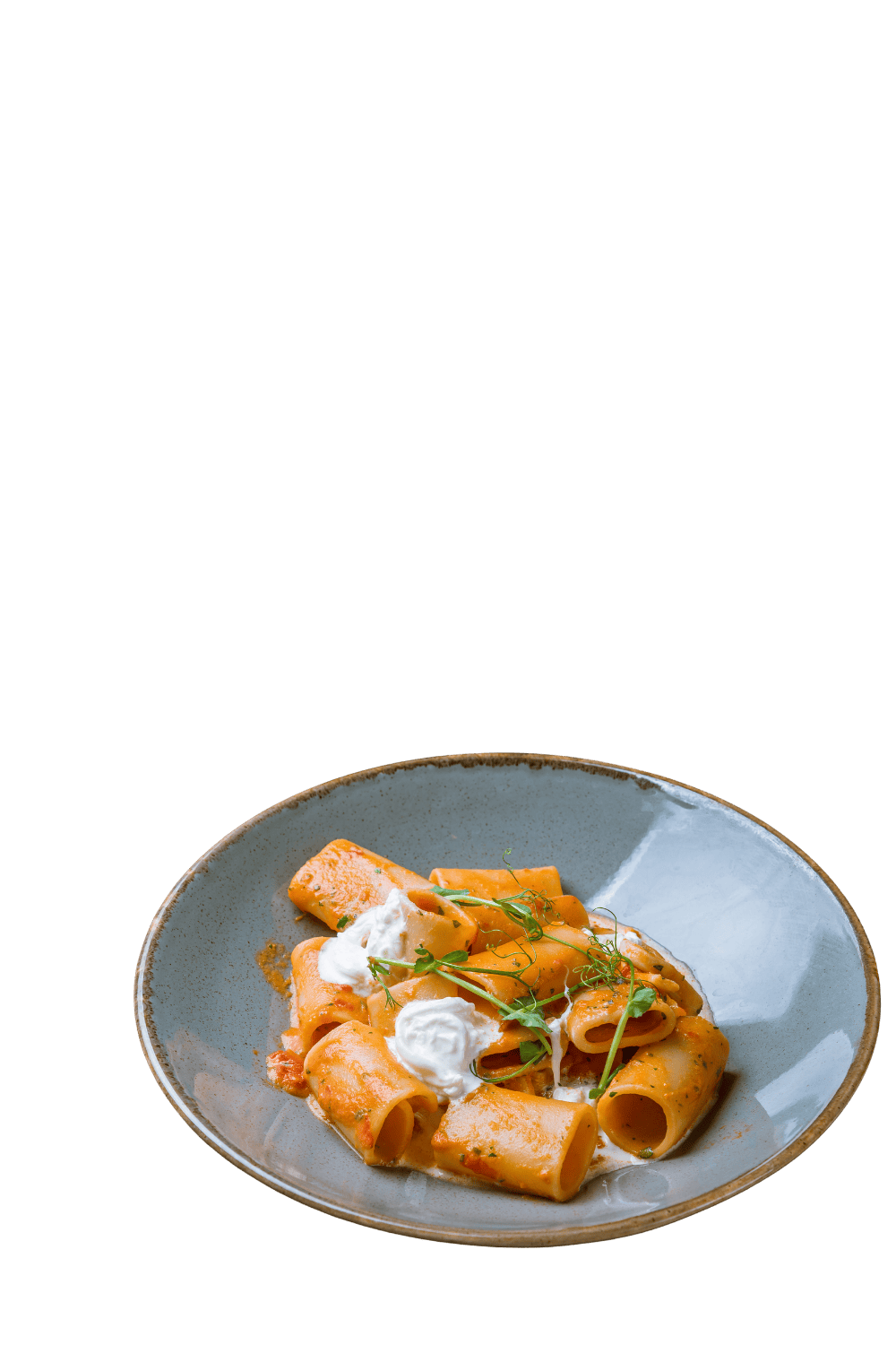 Saftige italienische Pasta mit cremiger Tomatensauce, Ricotta und frischen Kräutern, perfekt für Gourmets.