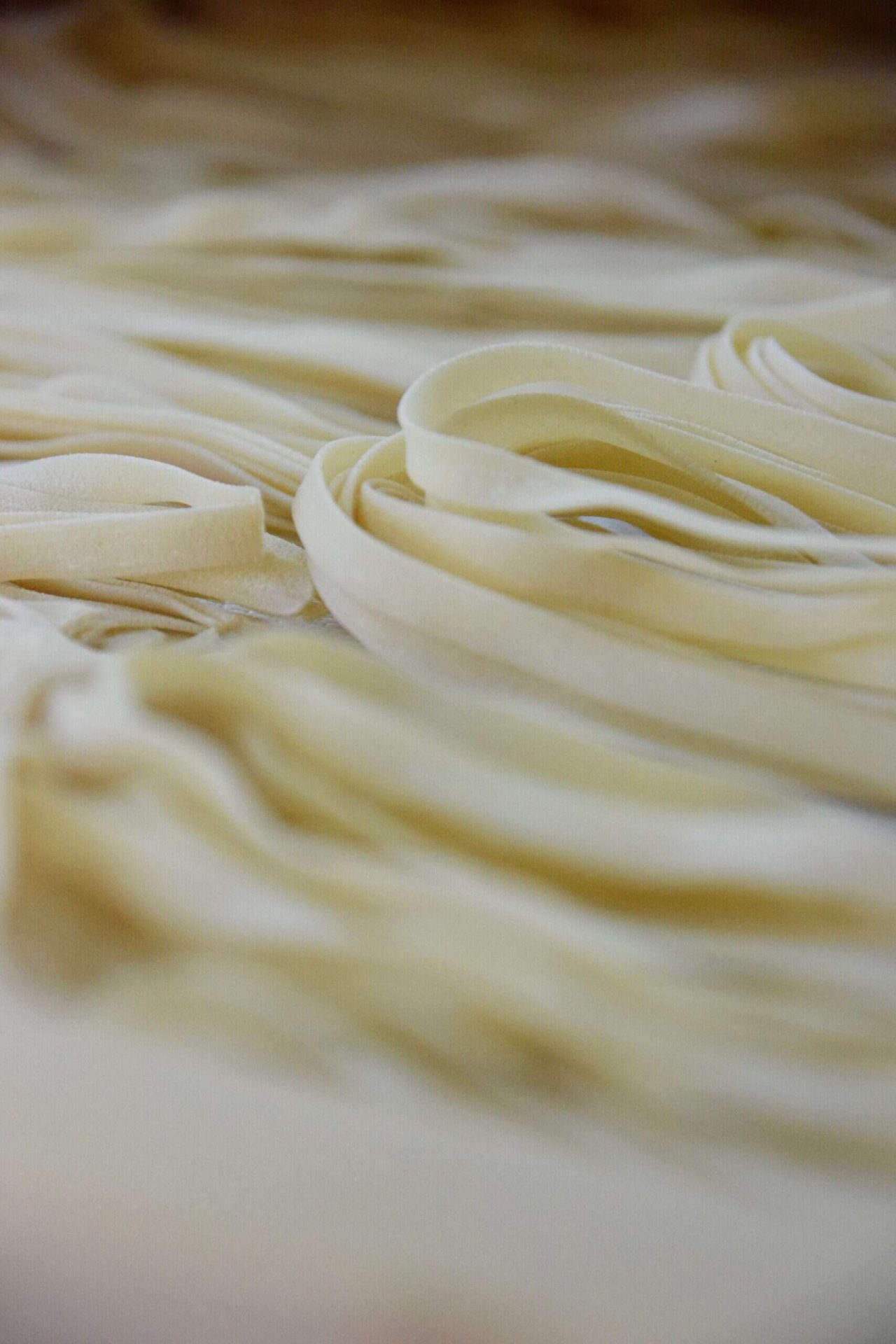 Frische hausgemachte Fettuccine Nudeln aus Italien.